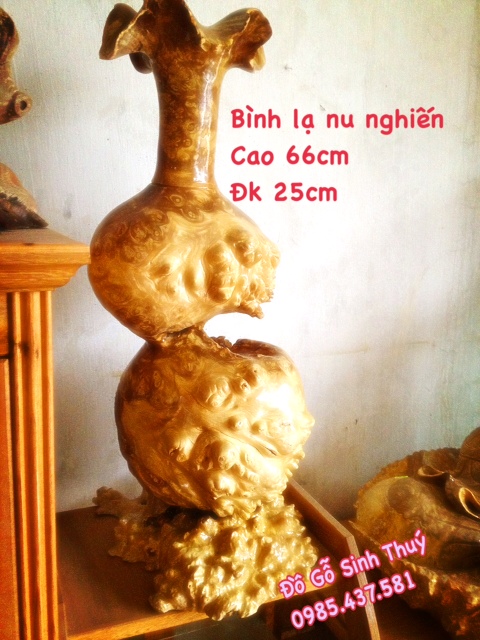 Bình Nu nghiến - Sinh Thúy